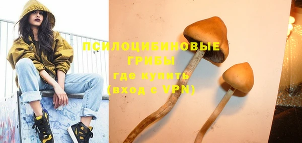 МДМА Новодвинск