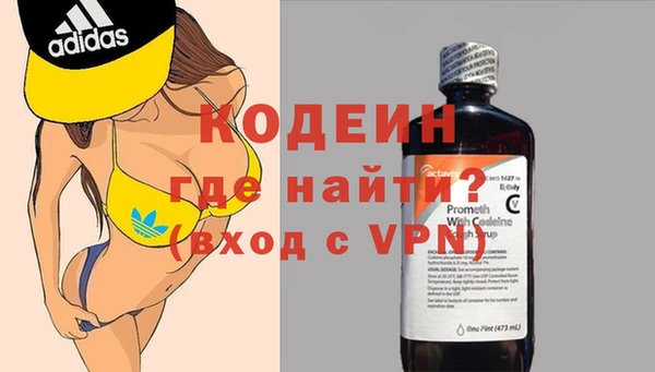 шишки Новозыбков