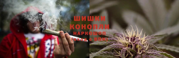 шишки Новозыбков