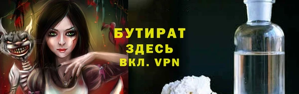 шишки Новозыбков