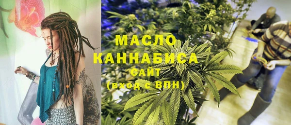 шишки Новозыбков