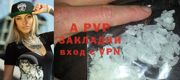 шишки Новозыбков