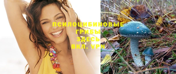 шишки Новозыбков