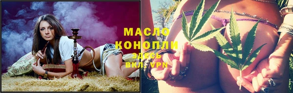 шишки Новозыбков