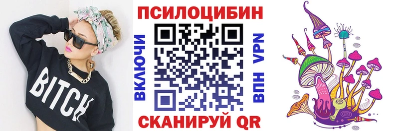дарк нет клад наркота Урус-Мартан Галлюциногенные грибы GOLDEN TEACHER